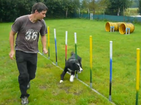 Jones beim Agility