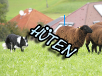 Hüten