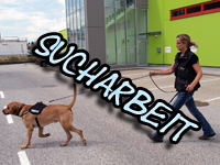 Sucharbeit